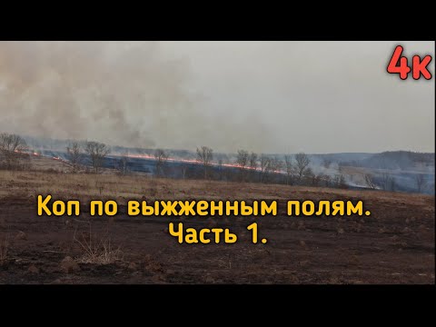 Видео: Коп в Туле.