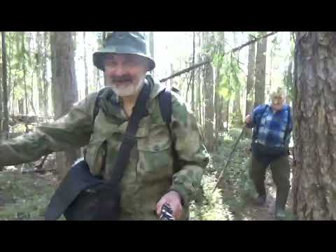 Видео: Поймать рыбу во вторую воду #1 Дорога всё интересней