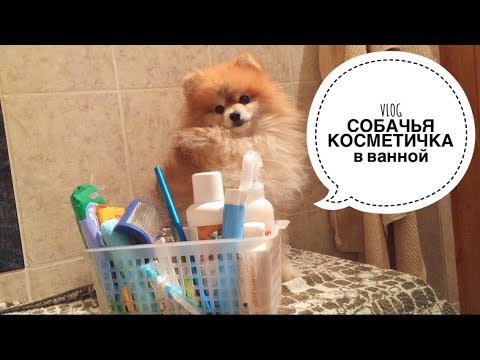 Видео: VLOG : КАК Я ХРАНЮ СОБАЧЬИ ПРИНАДЛЕЖНОСТИ В ВАННОЙ