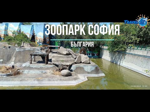 Видео: Зоопарк София 2024