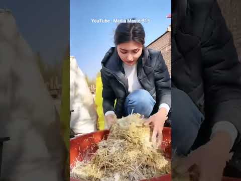 Видео: Uyghur kızı Gül’ün hayatı 10/Жизнь уйгурской девушки Гюль 10/Uyghur girl Gül's life 10