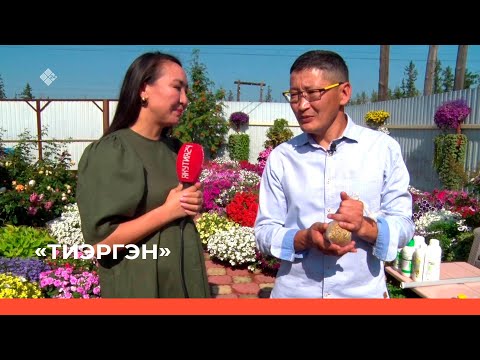 Видео: «Тиэргэн» биэриигэ: Афанасий Семенов тиэргэнигэр ыалдьыттаатыбыт. 1 чааһа  (22.08.23)