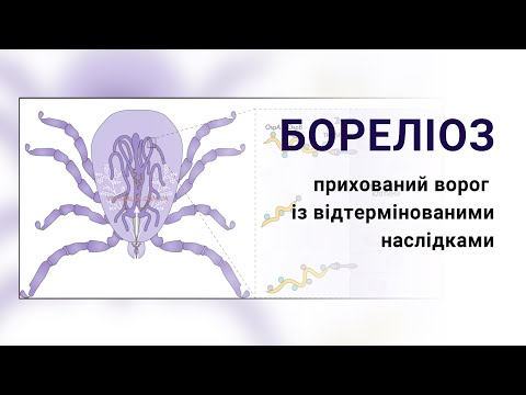 Видео: Бореліоз  Хвороба Лайма. Лікування та профілактика. Вакцинація Borrelym3 (Борелим 3)