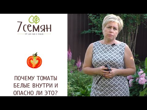 Видео: ПОЧЕМУ ПОМИДОРЫ ВНУТРИ ЖЕСТКИЕ И БЕЛЫЕ, И ЧТО С ЭТИМ ДЕЛАТЬ!