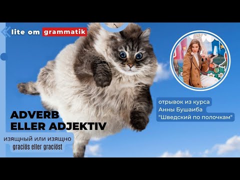 Видео: Шведский язык. Прилагательное или наречие. Как не путать: graciös eller graciöst?