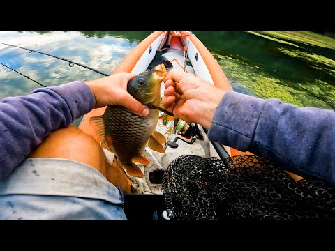 Видео: Ловля Речного КАРПА на Поплавок! Крупный Карп Почти Перевернул КАНОЭ! КАРП на ПОПЛАВОК  - РЕЗУЛЬТАТ!