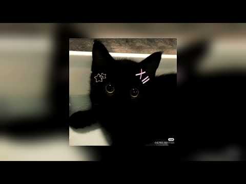 Видео: Братья Грим - Кустурица(speed up)