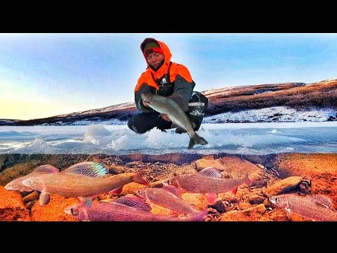 Видео: РЕКА ПОЛНАЯ РЫБЫ В  ПЕРВЫЙ ЛЕД!!! НО КАК ЕЕ ПОИМАТЬ?!! НОЧЕВКА НА ГОРНОЙ РЕКЕ В ПЕРВЫЙ ЛЁД 2025