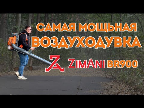 Видео: Самая МОЩНАЯ Воздуходувка ZimAni BR900