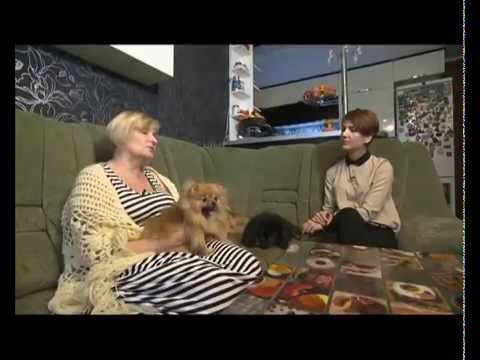 Видео: Шпиц "Формула качества"