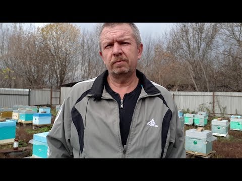 Видео: Зимовка в ППС.Ответы на вопросы.