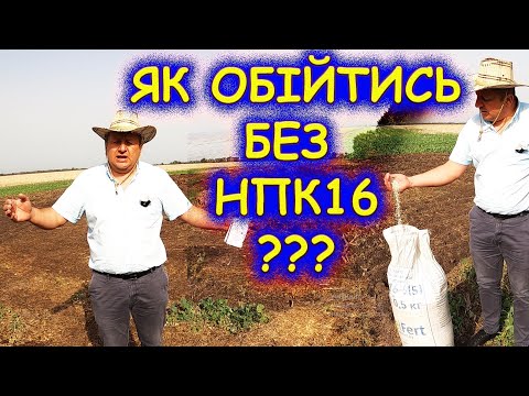 Видео: 🦻 ВНОСИМО ДОСТУПНЕ ДОБРИВО ФОСФОРОМ ЗБАГАЧУЄМО ГРУНТ 🌻🌾🌽 РК+S ВІТАСТАР Vitastar
