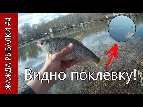 Видео: Лучшие поклевки на боковой кивок! Летняя мормышка, безмотылка. Часть 1.