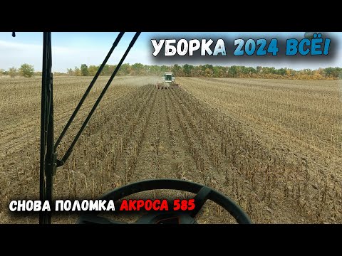 Видео: УБОРКА 2024 ЗАКОНЧЕНА. РЕЗУЛЬТАТЫ УРОЖАЙНОСТИ