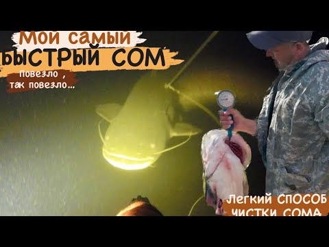 Видео: Мой самый быстрый СОМ. Подводная охота на Волге . Апрель 2023