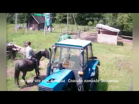 Видео: Отзыв об академии Эквифлоу