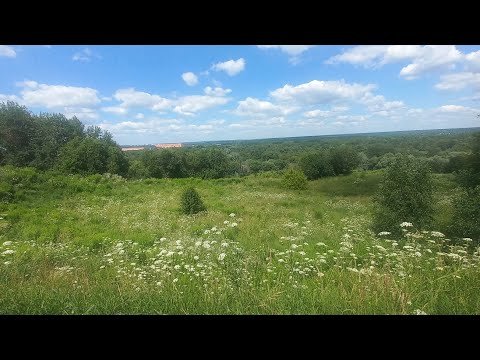 Видео: Чашин курган в Брянске