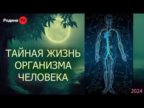 Видео: ТАЙНАЯ ЖИЗНЬ ОРГАНИЗМА ЧЕЛОВЕКА || запись прямого эфира, Родина НВ