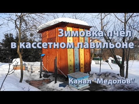 Видео: Зимовка пчел в кассетном павильоне