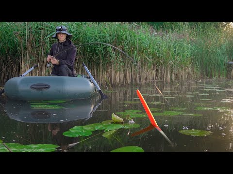 Видео: Рыбачу в СТАРОМ КАМЫШЕ, тут клюют НЕПОДЪЕМНЫЕ караси!