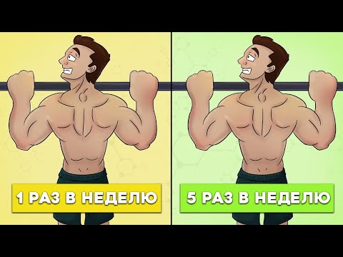 Видео: Частые но Средние тренировки или Редкие но Интенсивные