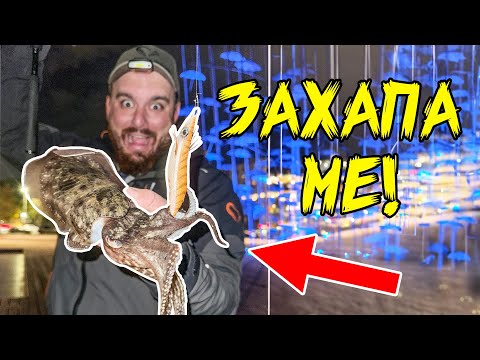 Видео: ЗАХАПА МЕ! Градски риболов в Солун!