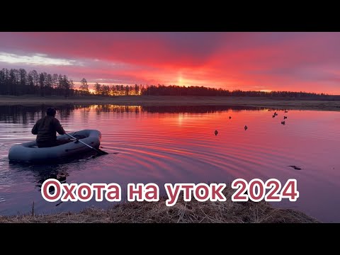 Видео: Весенняя охота на уток 2024