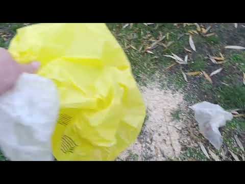 Видео: Прогулялась  от души