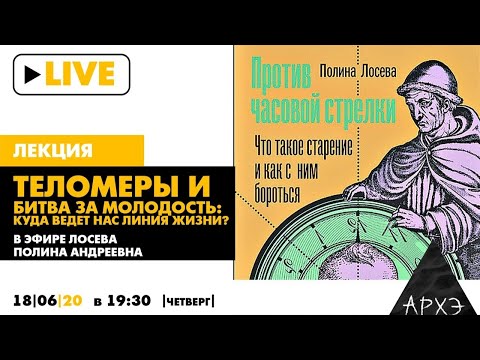 Видео: Полина Лосева: "Теломеры и битва за молодость: куда ведет нас линия жизни?"