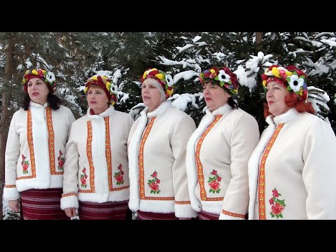 Видео: Миропільчанка - ''Ой, у полі, полі'' (колядка) 2024
