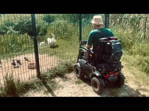 Видео: Парк птиц «На Тёплом Берегу» 🦚