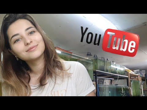 Видео: НЕМНОГО О РАЗВОДНЕ