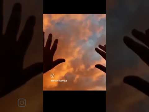 Видео: 4 ноября 2025 г.