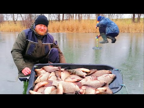 Видео: ПЕРВЫЙ ЛЁД и РАЗДАЧА КРУПНЫХ КАРАСЕЙ НА ЗИМНЮЮ УДОЧКУ