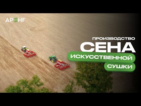 Видео: Выгода в сухом остатке | Как зарабатывать на люцерне в Казахстане