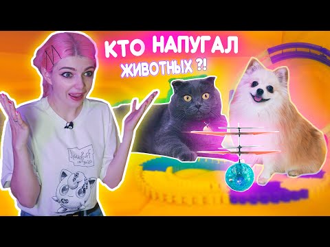 Видео: КТО НАПУГАЛ БАТТЕРС И ЭЛИС? ИГРУШКИ VS ЖИВОТНЫЕ
