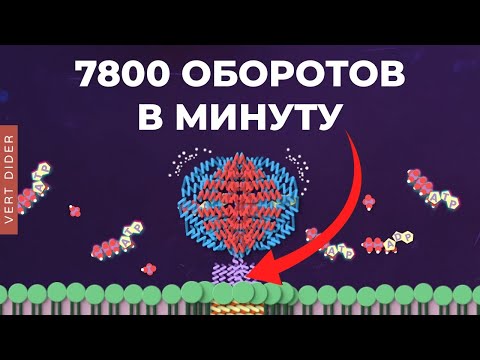Видео: Биохимия фотосинтеза: #3. АТФ-синтаза [Clockwork]