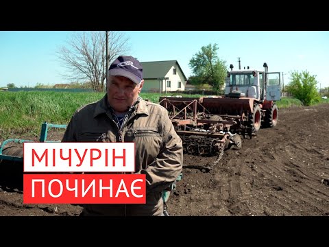 Видео: Як підготувати ґрунт для висадки кукурудзи.