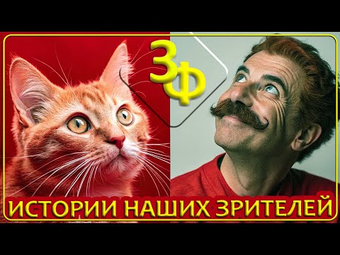 Видео: 280 Прежде чем что-то сказать, хорошо подумай | Истории Зрителей