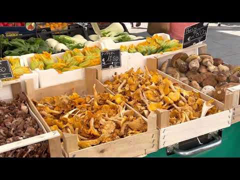 Видео: Падуя, рассказ про город / walking ITALY / PADOVA