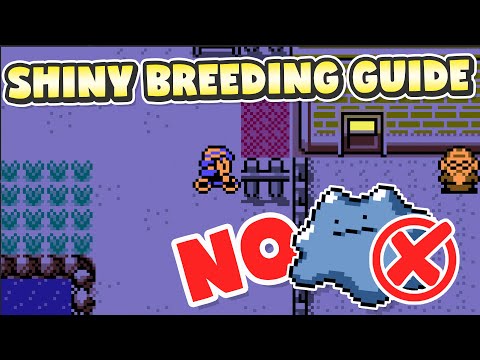 Видео: Как разводить покемонов БЕЗ Шайни Дитто в Pokemon Gold, Silver, Crystal! Руководство по разведени...