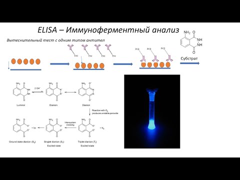 Видео: Лекция 3_ ИФА, для биотехнологов