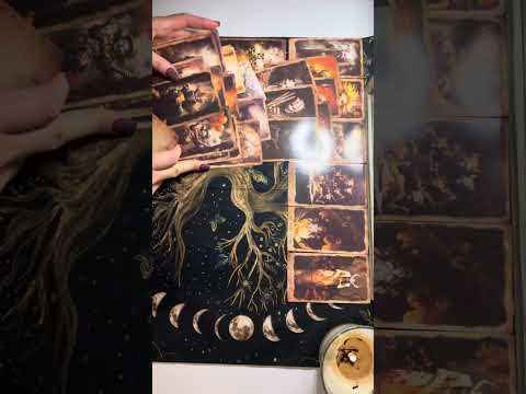 Видео: Колдун и его шабаш в потерях 🤷‍♀️😈🤯👆🧐💫