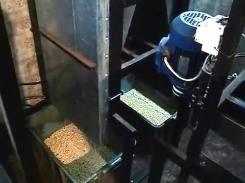 Видео: Переработка (шелушение) кедрового ореха в ядро