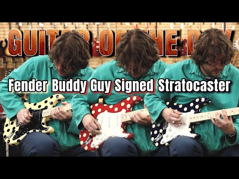 Видео: Fender Buddy Guy с автографом и подписью Stratocaster Polka Dot | Гитара дня