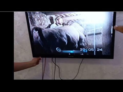 Видео: КЛИЧКАИ БКАИ КОРИ БОЗОР БУДААСТ 1 ТОН ЧОРНИПЁСТРА 13 августа 2025 г.