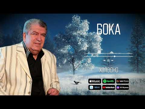 Видео: Бока (Борис Давидян) - Холодно | Аудио