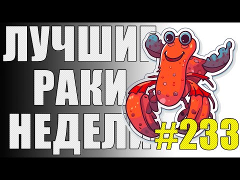 Видео: ЛРН выпуск №233 🤪 МАСТЕР ПЕРЕВОРОТА и БОТЫ-БЕРУНГИ [Лучшие Раки Недели]