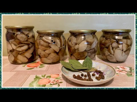 Видео: МАРИНОВАННЫЕ БЕЛЫЕ ГРИБЫ НА ЗИМУ!!!