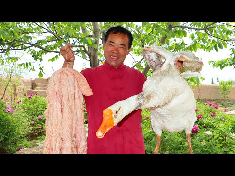 Видео: Лучший способ приготовить ГУСЯ с жирным кишечником! Деликатес в деревне! | Дядя Деревенский Гурман